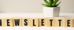 Blog Newsletter